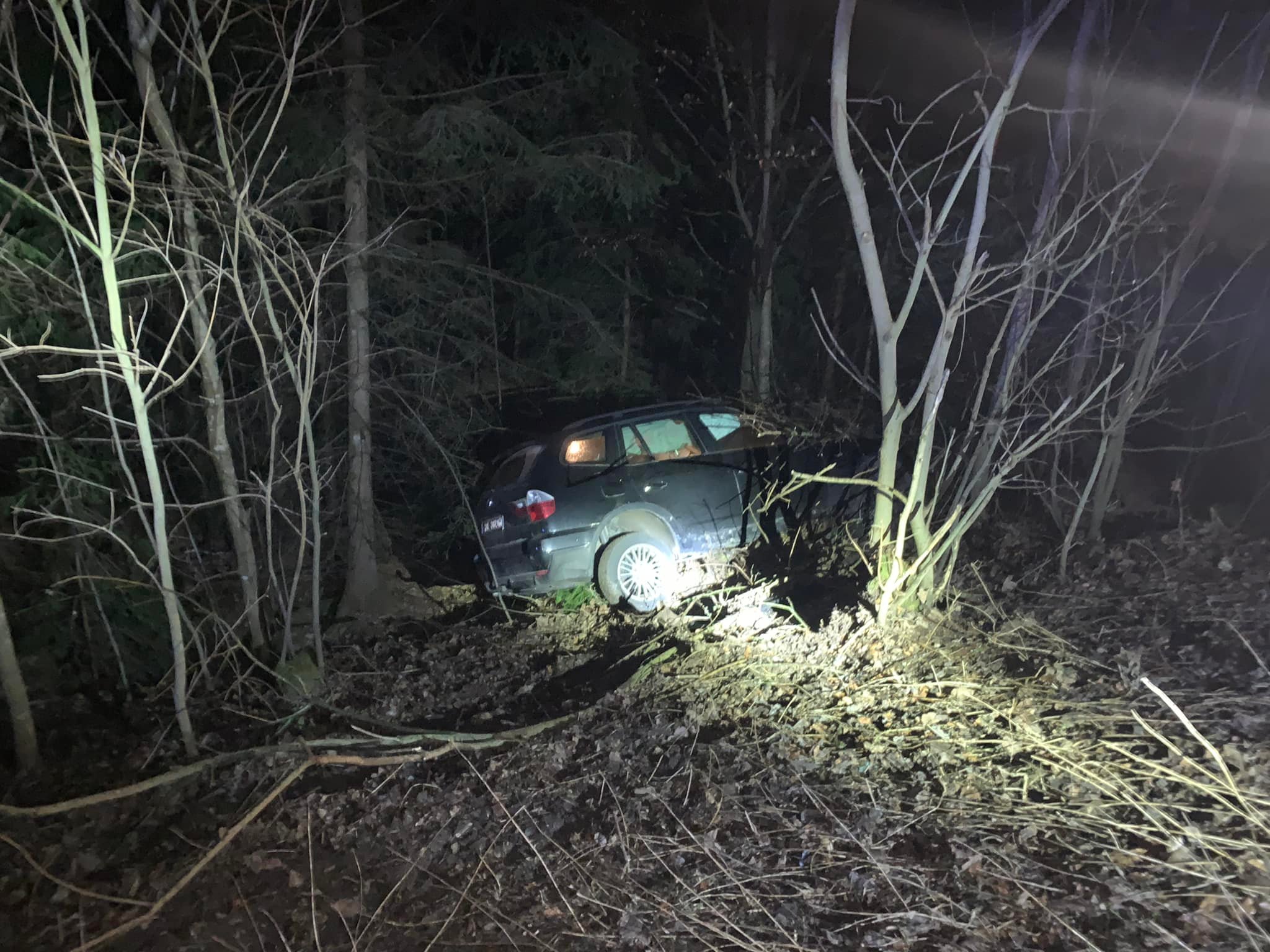 Autounfall im Wald